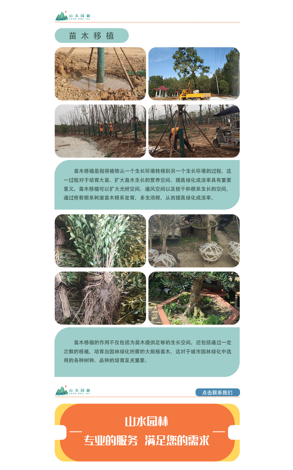5苗木移植_02.png