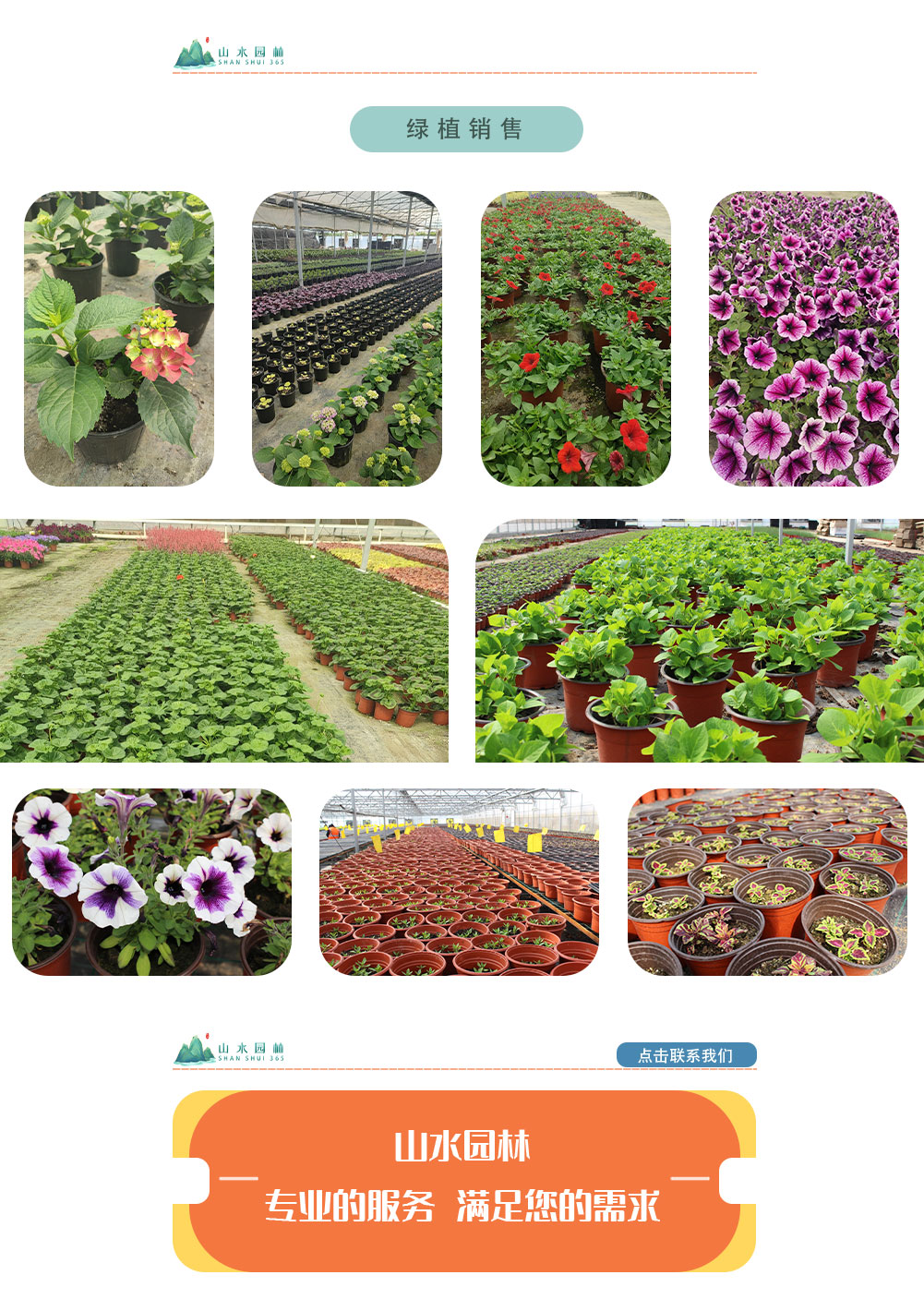 2绿植销售_02.jpg