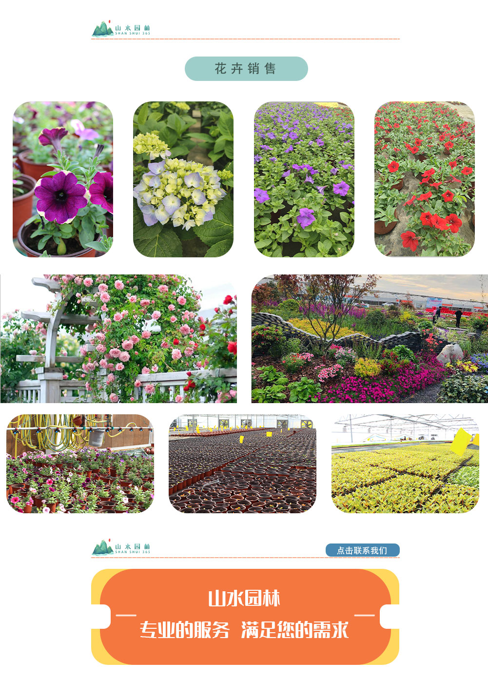 3花卉销售_02.jpg