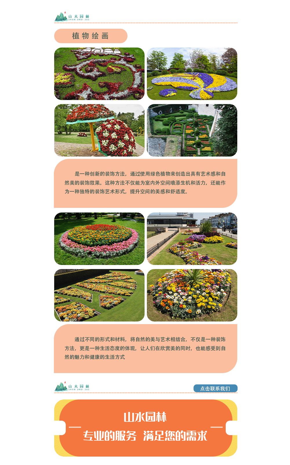 6植物绘画_02.png