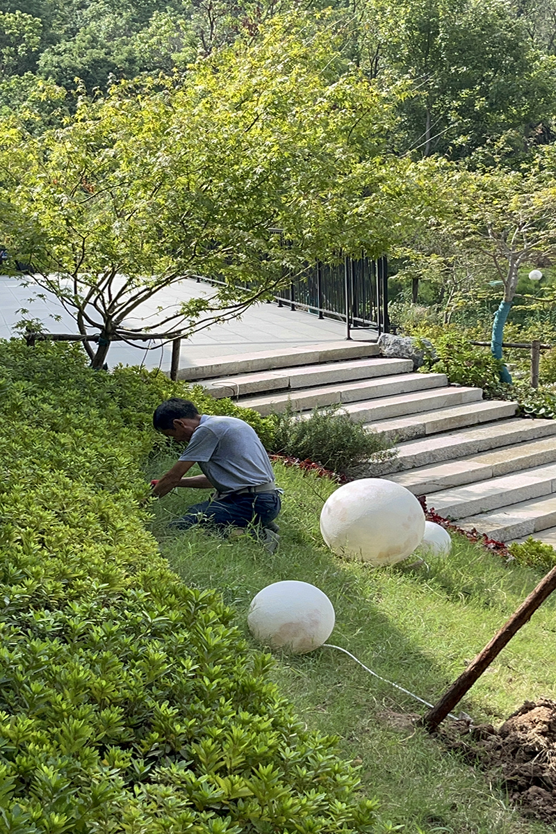 绿化养护公司的服务范围有哪些